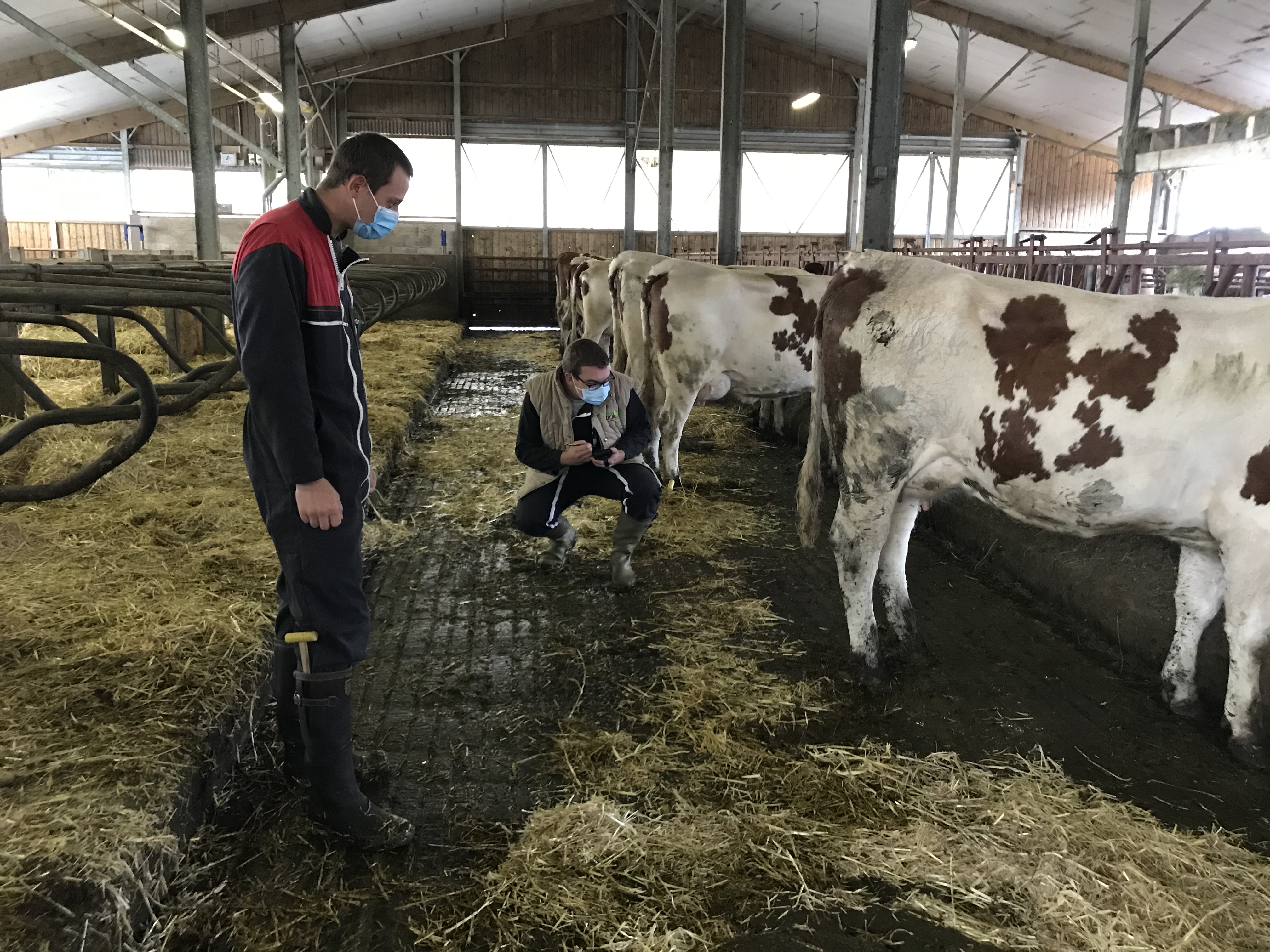 Harmonisation de pointage entre techniciens de Montbéliarde Association