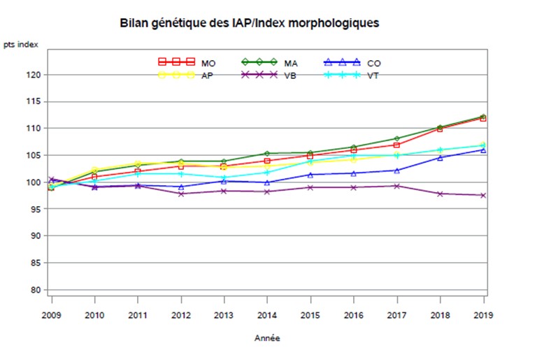 Bilan Génétique IAP - index morpho