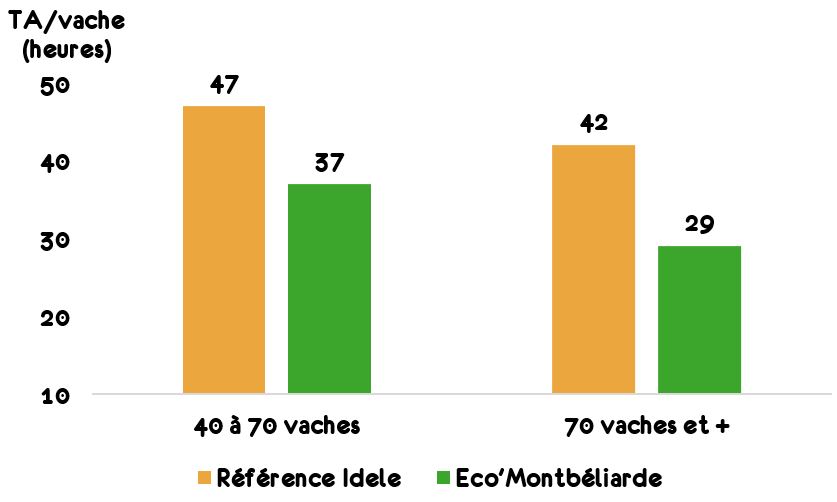 TA par vache selon la taille du troupeau 