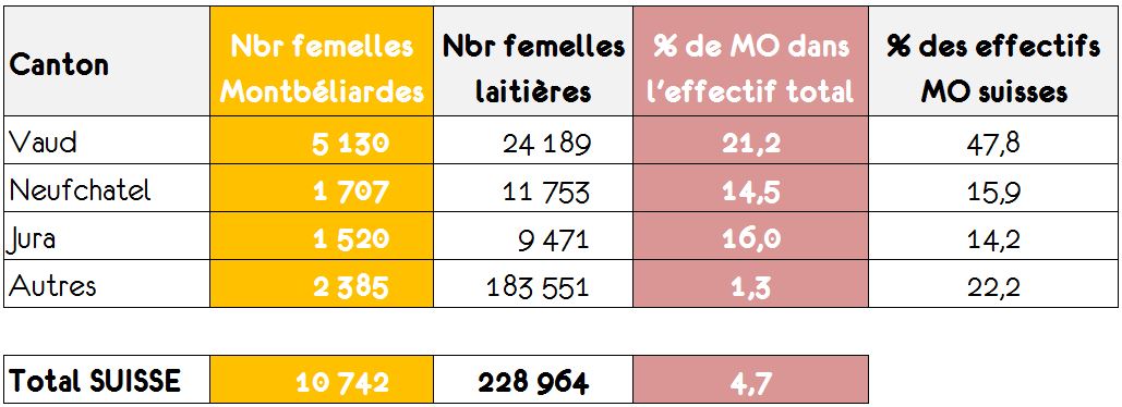 stats par cantons