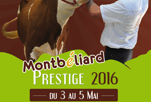Montbéliard Prestige - Besançon
