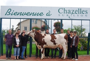 Chazelles-sur-Lyon (42) 